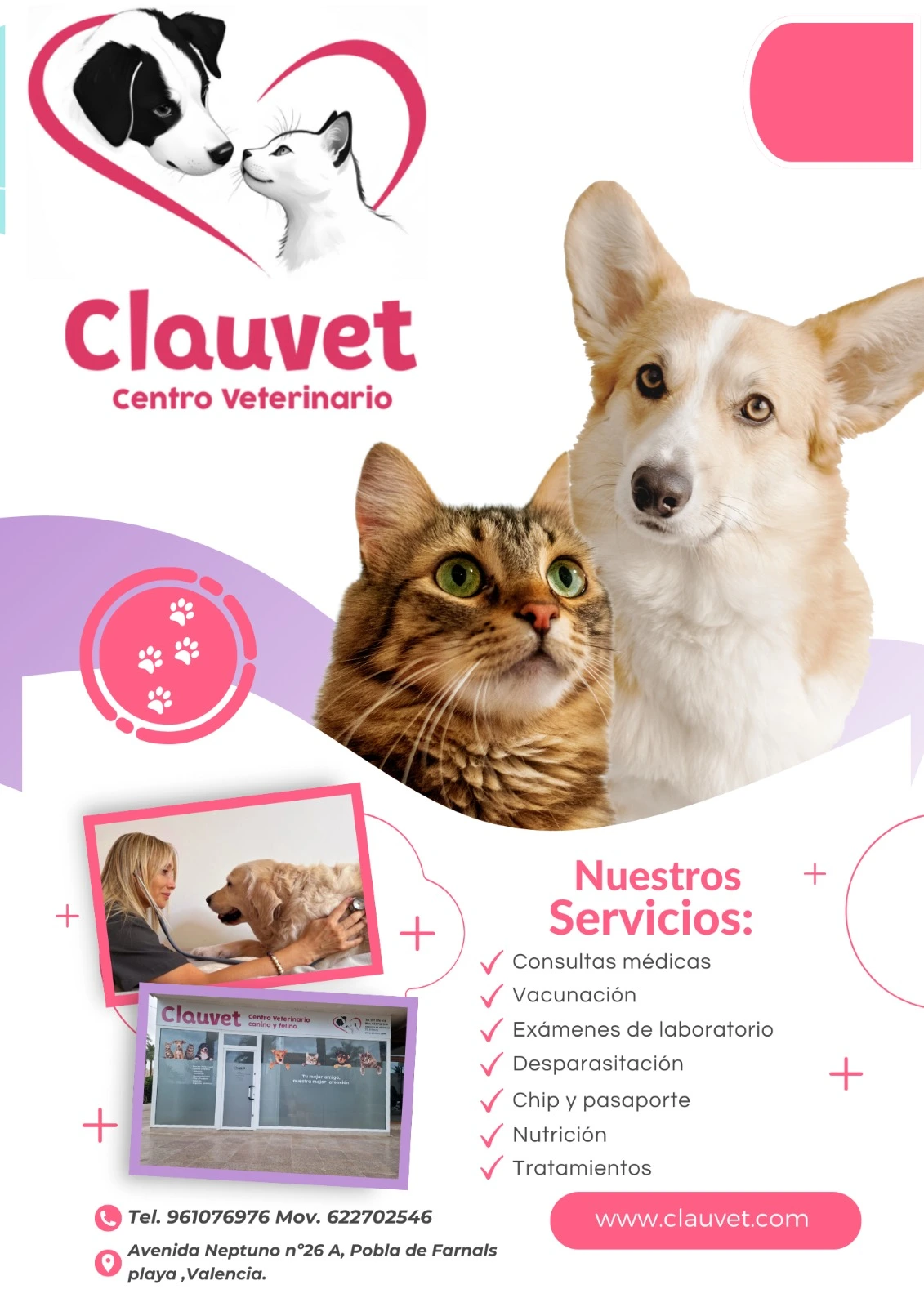 CLAUVET VETERINARIA (4)